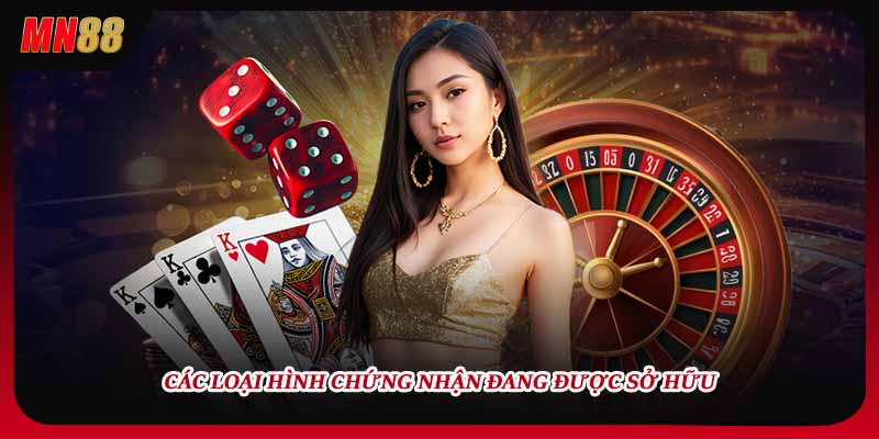 Các loại hình chứng nhận đang được sở hữu