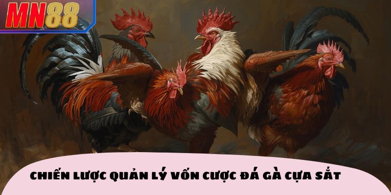 Chiến lược quản lý vốn cược đá gà